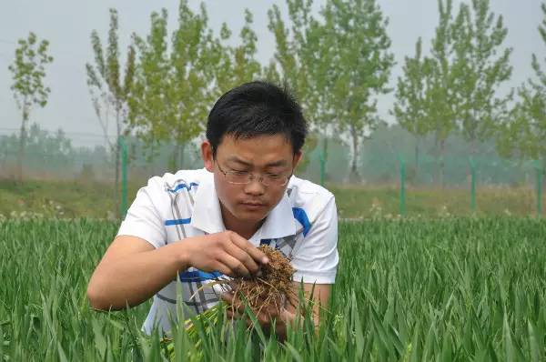 漯河青年 农业信息咨询领域的闪亮新星