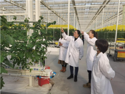 田间地头最美风景线 巾帼科技赋能乡村振兴