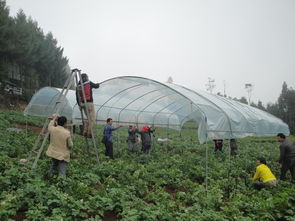 云南省农业厅官方网站——云南农业信息网 您的农业信息咨询首选平台