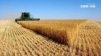 浙江来淘信息科技 互联网+农业的六种实现途径及农业信息咨询新范式