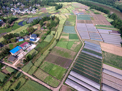 深耕县域金融沃土 以农业信息咨询为支点撬动乡村振兴