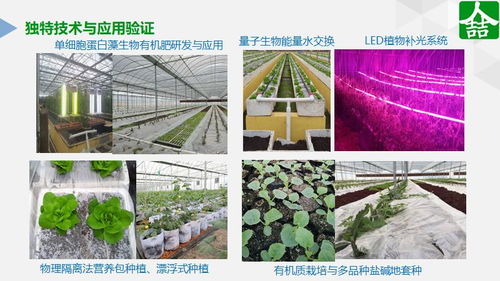 绿领的破局 探讨农产品优质化的创新力量与新范式