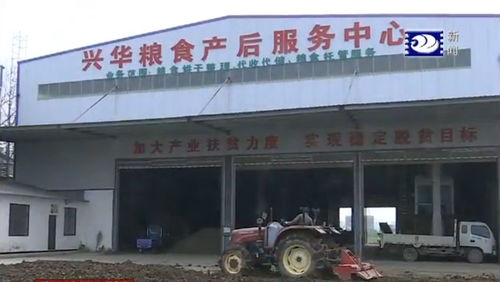 打造水稻绿色高效基地 种好“监利大米”
