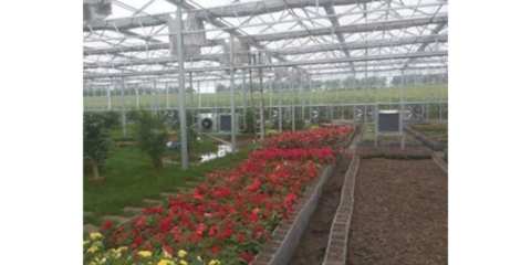 谷城特色农业信息咨询服务 赋能乡村振兴，创造产业辉煌