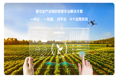 农业项目公示网站 推动农业现代化的新引擎