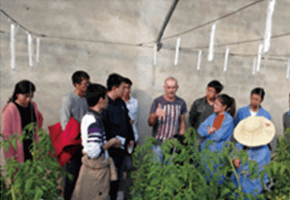 现代农业信息化与农业信息咨询的协同发展